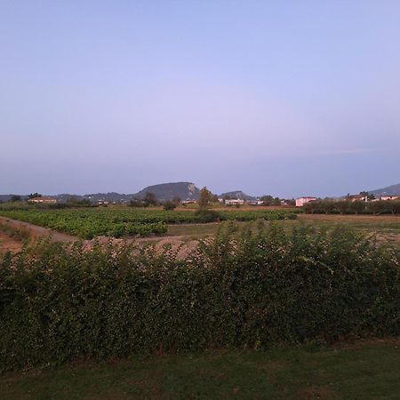 הוילה Sarakinádhon Casa Dei Fiori מראה חיצוני תמונה