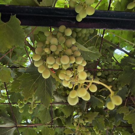 הוילה Sarakinádhon Casa Dei Fiori מראה חיצוני תמונה